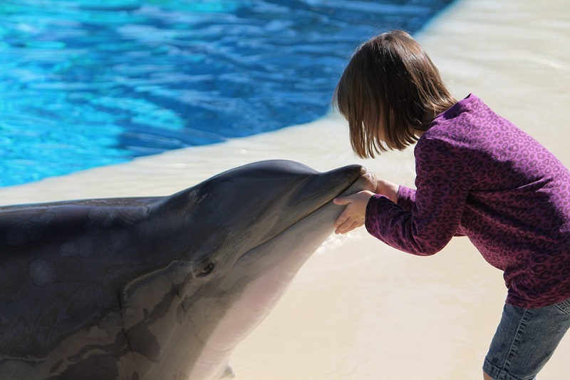 Ein Mädchen und ein Delphin